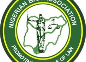 #EndSARS: NBA Benin Offers Pro Bono Legal Services To Petitioners at Edo Judicial Panel of Inquiry