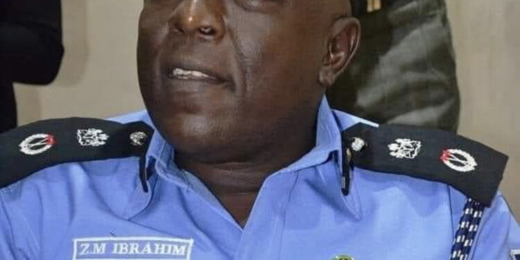 JUST IN: AIG Zanna Mohammed Ibrahim appointed as Acting Inspector General of Police