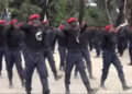 VIDEO: Herdsmen flee, abandon cows as IPOB’s ESN chase them out of bush in Enugu