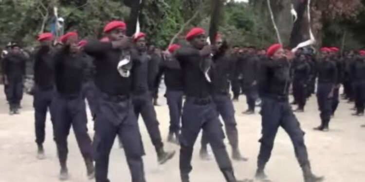 VIDEO: Herdsmen flee, abandon cows as IPOB’s ESN chase them out of bush in Enugu
