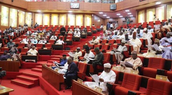 FG should adhere to merit and federal character principle when making appointments — Senate