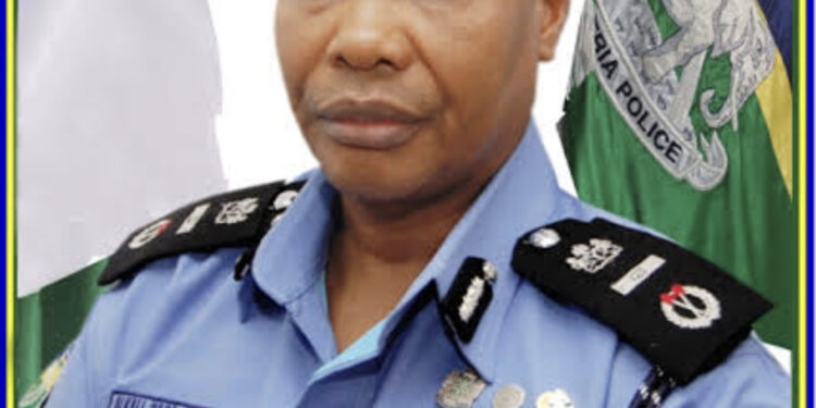 Just In: President Buhari appoints Usman Alkali Baba as new IGP