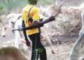 Eight hours after peace meeting, herdsmen kill five in Taraba