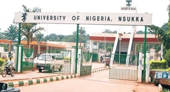 UNN graduate secures N1bn foreign investment grant