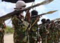 Boko Haram/ISWAP still control Borno villages, collect taxes – Residents