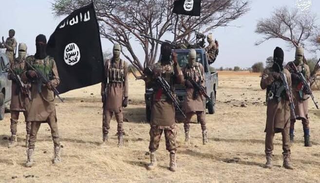 BokoHaram, ISWAP appoint governor for parts of Borno, as son of Late Mohammed Yusuf head sects