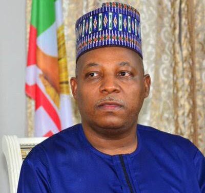 2023: Power should shift to South – Shettima, Former Borno Governor