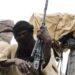 JUST IN: Bandits kill village head, abduct many in kastina