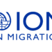 Over 17,000 Babies Born In Borno IDP Camps In Two Years – IOM