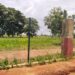 Revealed: How Bandits Gained Access Into Nigeria Defense Academy