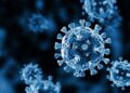 COVID-19: Veterinary Doctors seeks recognition to fight pandemic