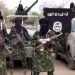Breaking: Boko Haram attacks Yobe community, leave passengers stranded [Photo]