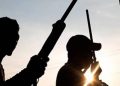 JUST IN: Gunmen Kidnap Prominent Traditional Ruler In Imo [PHOTO]