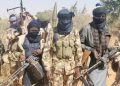 Bandits Now Accept Cigarettes, Hemp As Ransom In Niger