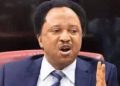 2023: ‘I’ll Clean Up El-Rufai’s Mess’, Shehu Sani Brags, As He Joins Kaduna Governorship Race