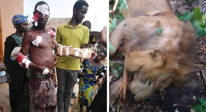 Man Single-Handedly Killed Lion In Brutal Battle [PHOTOS]