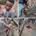 Angry Mob Beat Up Suspected Phone Snatcher In Bayelsa