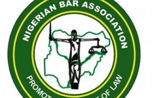 The Nigerian Bashed Association (NBA)