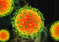 China Discovers New Potentially Fatal Virus Which Experts Fear Could Trigger Another Pandemic