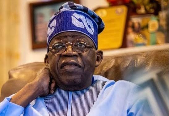 2023 Presidency: Arewa targets 1.5m votes for Tinubu
