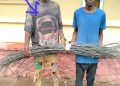 Benin prison escapee, one other arrested for electricity cable theft in Ogun