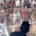 See Moment Thugs Invaded PDP campaign rally in Kaduna [VIDEO]