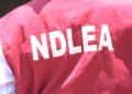 NDLEA Discovers Hard Drugs Concealed Inside Tubers Of Yam At Lagos Airport [VIDEO]