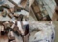 Bag Of Damaged Naira Notes Discovered After CBN Announced And Unveiled Newly Re-Designed N200, N500 And N1,000 Notes [VIDEO]