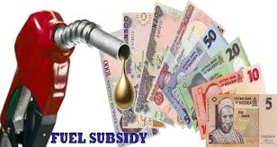 The Politics Of Fuel Subsidy And The Way Forward