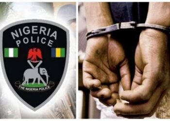 Police Arrest 7 Over Cultism, Murder In Edo