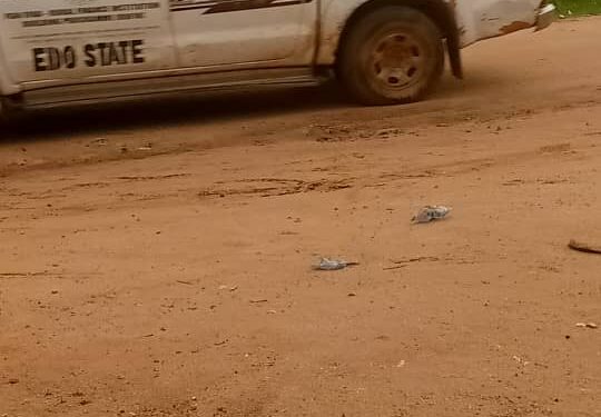 Edo Supplementary Elections: Residents Raise Alarm Over Security Siege In Their Community, Fingers Obaseki