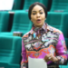 JUST IN: Tribunal declares Tinubu’s Minister House of Reps member