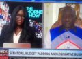 “I No Want Wahala O”, Watch Moment Nigerian Senator Abandons Live TV Interview Over Question On 2024 Budget [VIDEO]