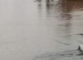 Residents of Express Avenue Appeal to Edo Government for Urgent Rehabilitation Amid Flooding Crisis
