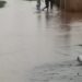 Residents of Express Avenue Appeal to Edo Government for Urgent Rehabilitation Amid Flooding Crisis