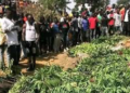Plateau killings not mere herder-farmer clashes – Group
