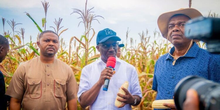 Edo Governor Okpebholo Pushes Economic Diversification with Large-Scale Agriculture