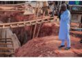 Okpebholo Cracks the Whip on Road Contractors, Demands Speed on Ogheghe, Old Sapele Roads [PHOTOS]